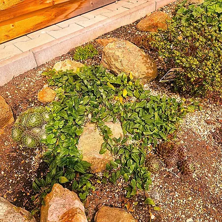 Koller - Adults Only 3*