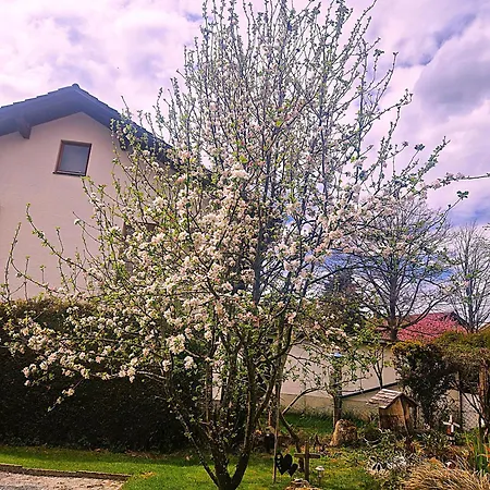 Koller - Adults Only Guest house 3*