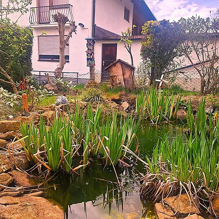 Pensjonat Koller - Adults Only Bodenmais