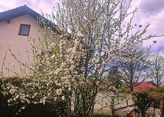 Koller - Adults Only Penzion 3*