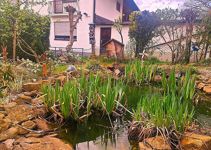 Penzion Koller - Adults Only Bodenmais